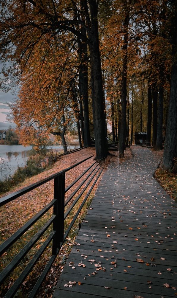 Photograph by Мария Петровцева