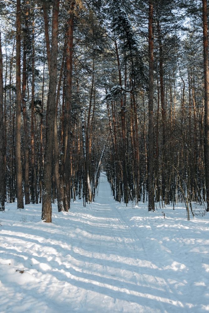 Photograph by Ольга Трофимова