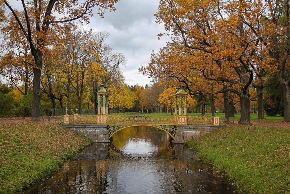 Photograph by Елена Данченко