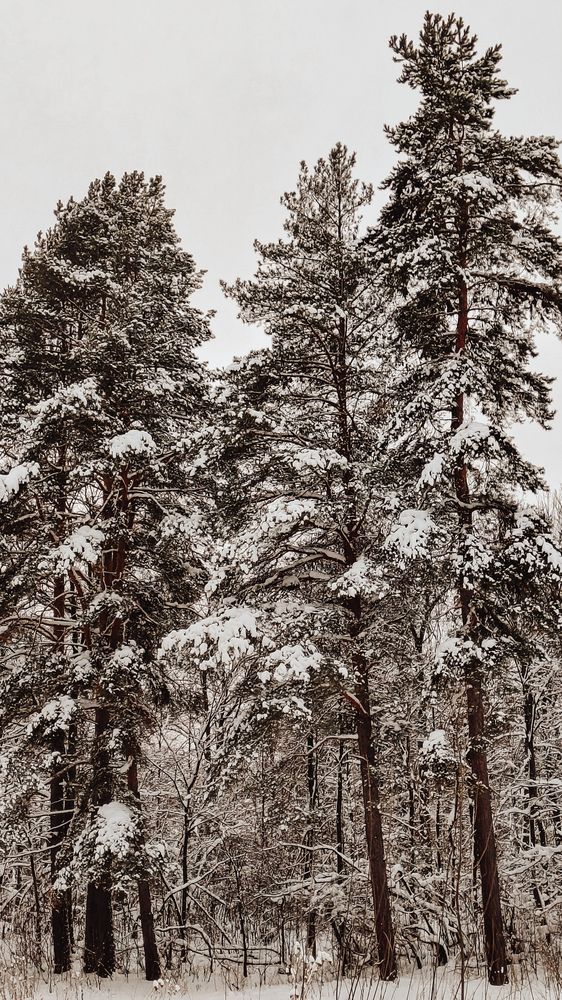 Фотография автора Людмила Горячева