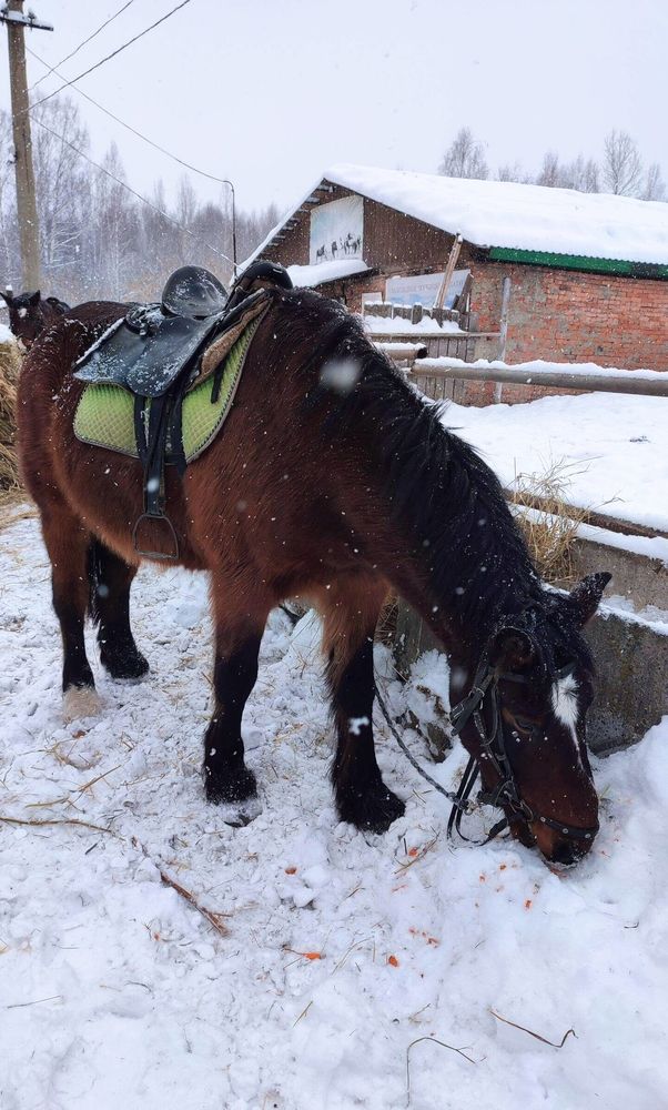 Photograph by Полина Скурская