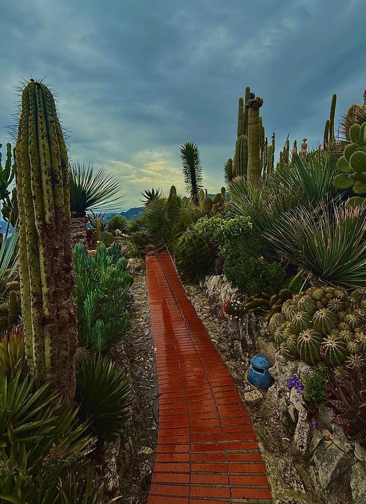 Фотография автора Алла Киселева