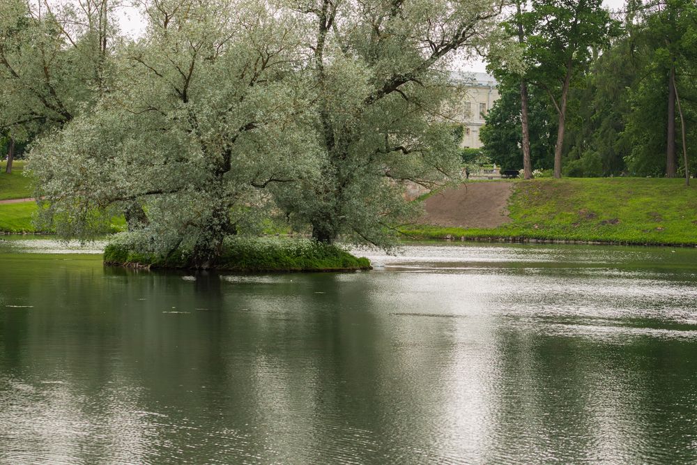 Photograph by Юлия Яковлева