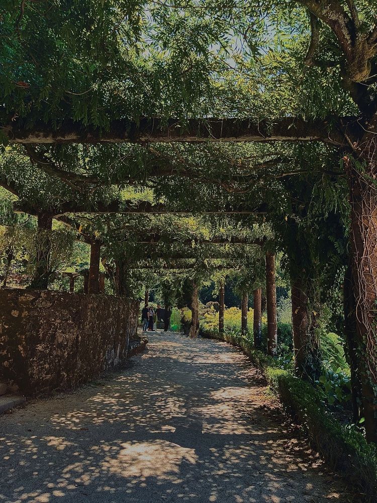 Фотография автора Алла Киселева