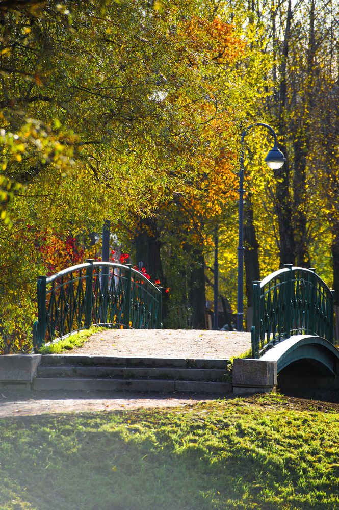 Фотография автора Анастасия Лившиц