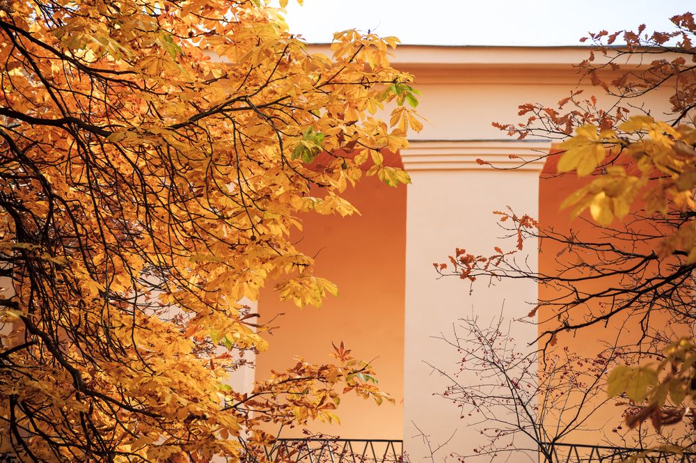 Photograph by Анастасия Лившиц