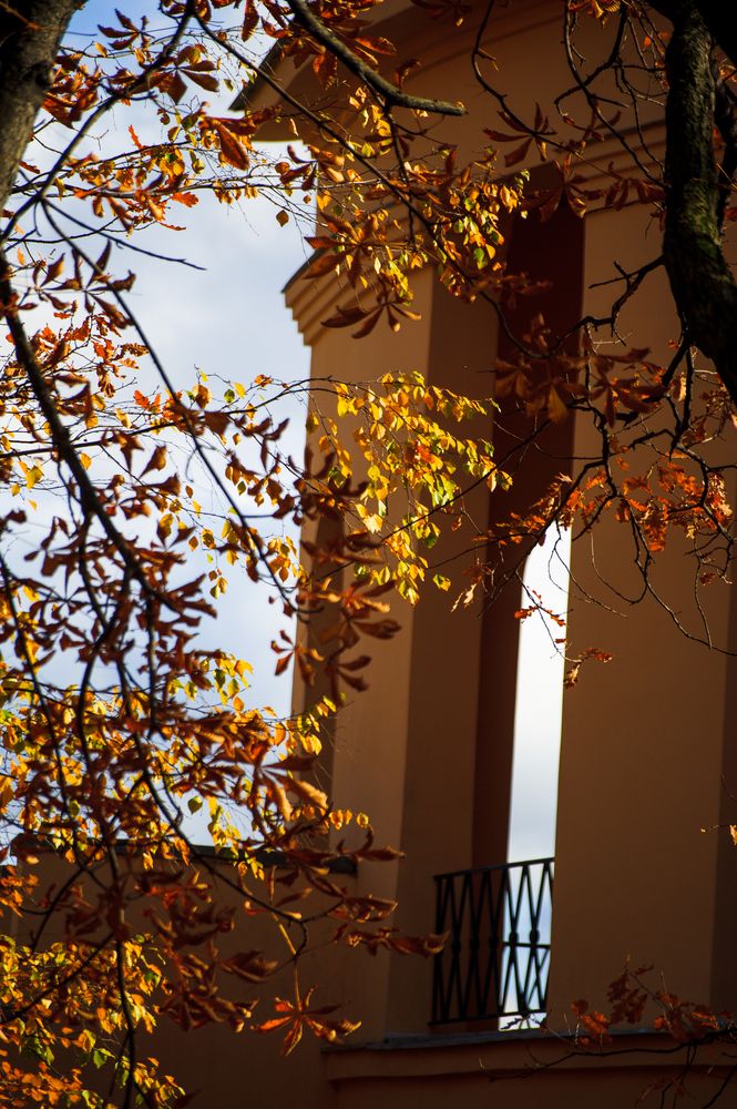 Фотография автора Анастасия Лившиц