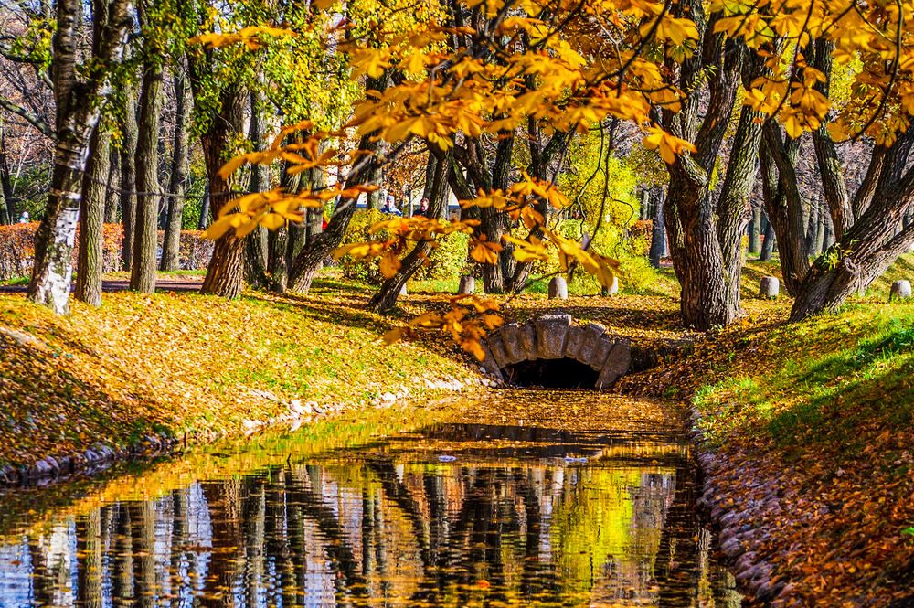 Фотография автора Анастасия Лившиц