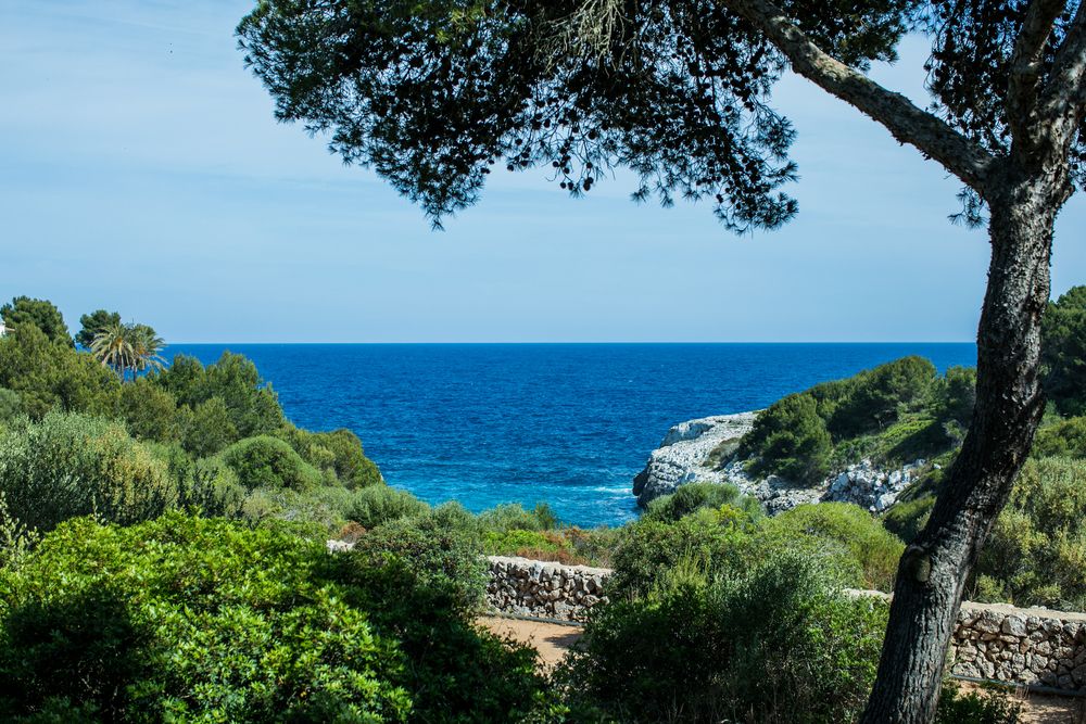 Фотография автора Анастасия Лившиц