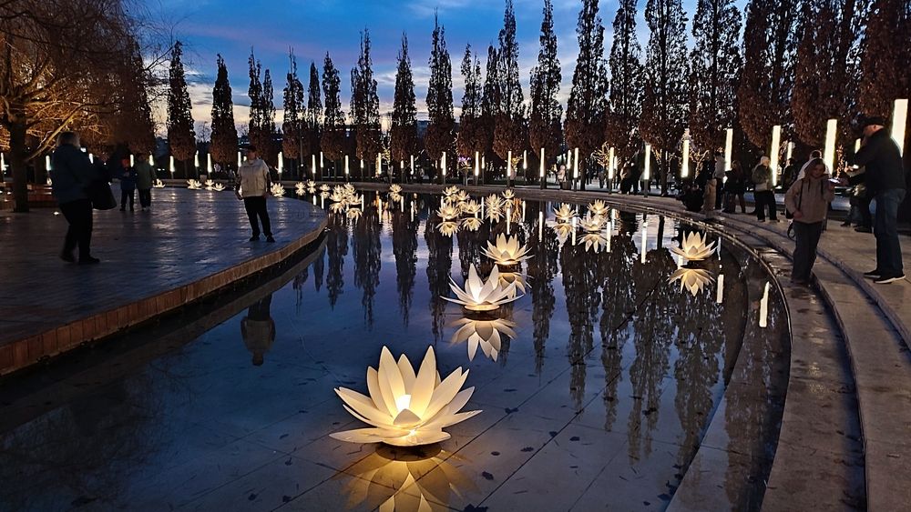 Фотография автора Полина Скурская