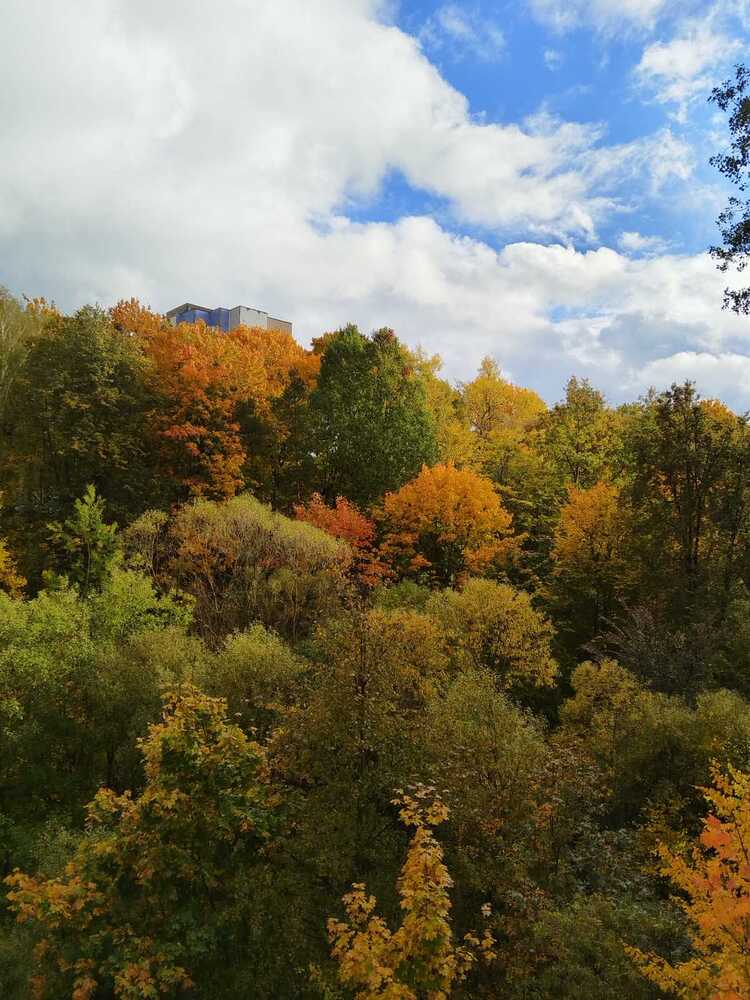 Photograph by Татьяна Солтан