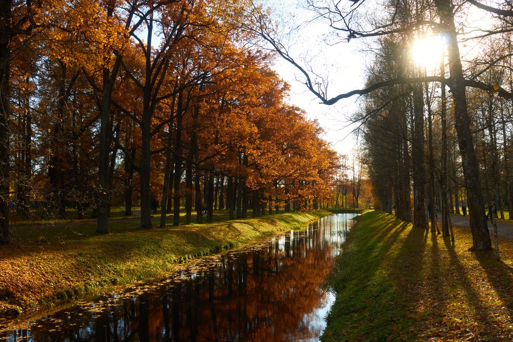 г. Пушкин осень