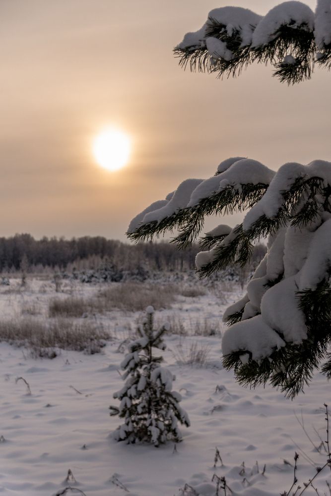 Фотография автора Елена Ефимова