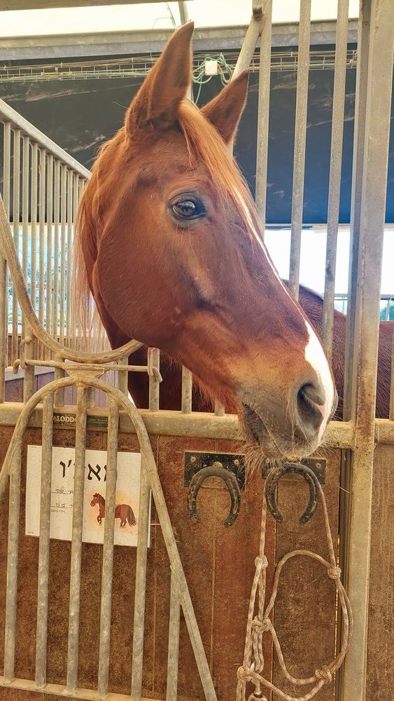 Photograph by Marharyta Khodas