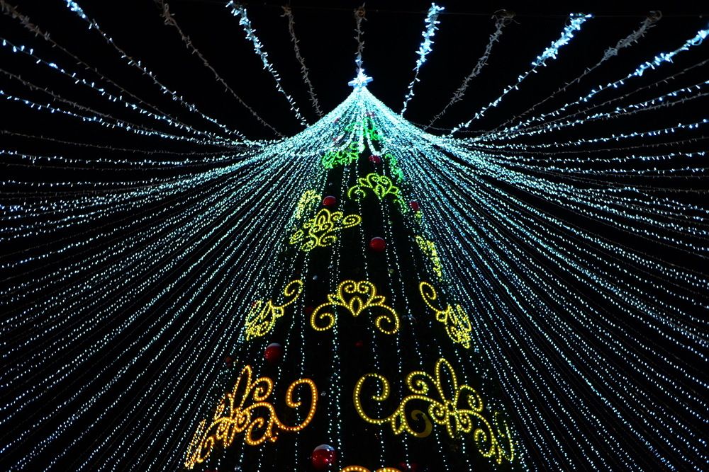 Photograph by Ирина Степанова