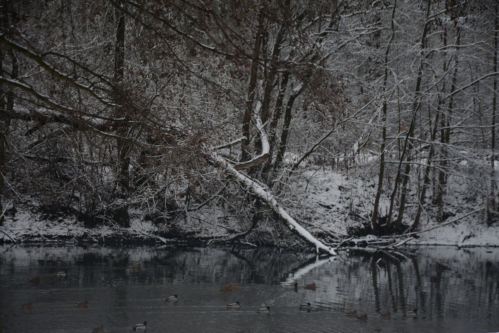 Photograph by Ольга Истомина