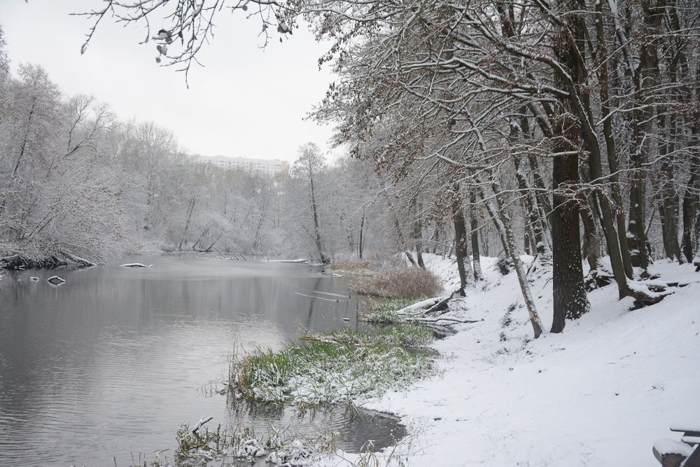 Photograph by Ольга Истомина