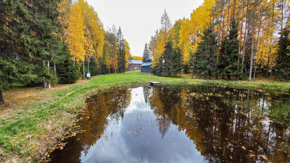 Photograph by Константин Черняев