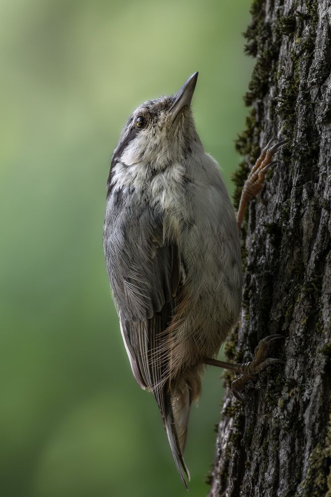 Photograph by Полина Шальнева