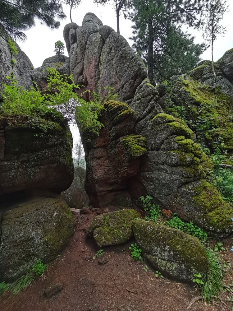 Photograph by Ульяна Красикова