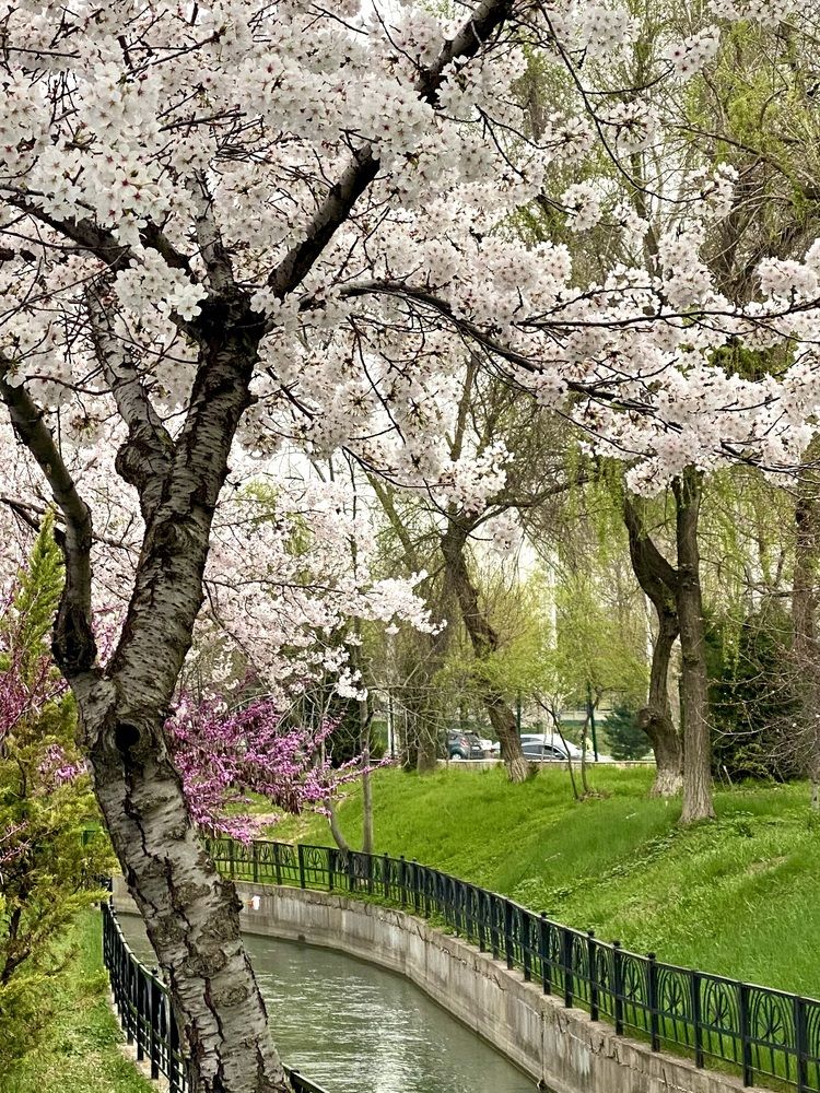 Photograph by Валентина Колесова