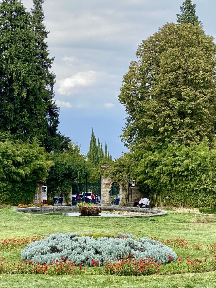 Photograph by Валентина Колесова