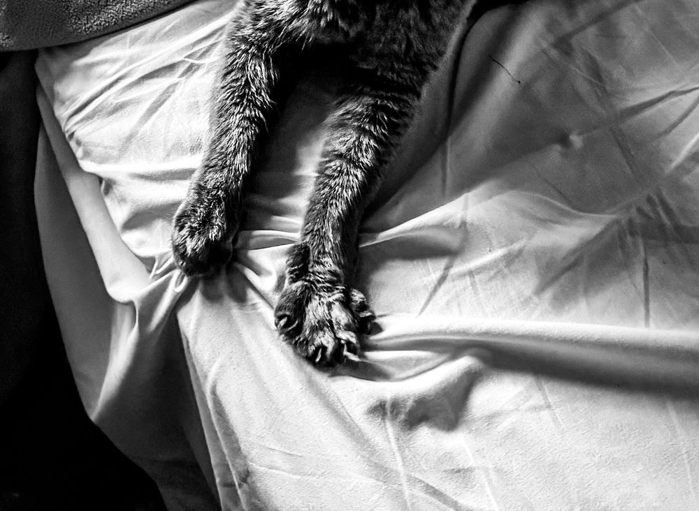 Photograph by Rishana