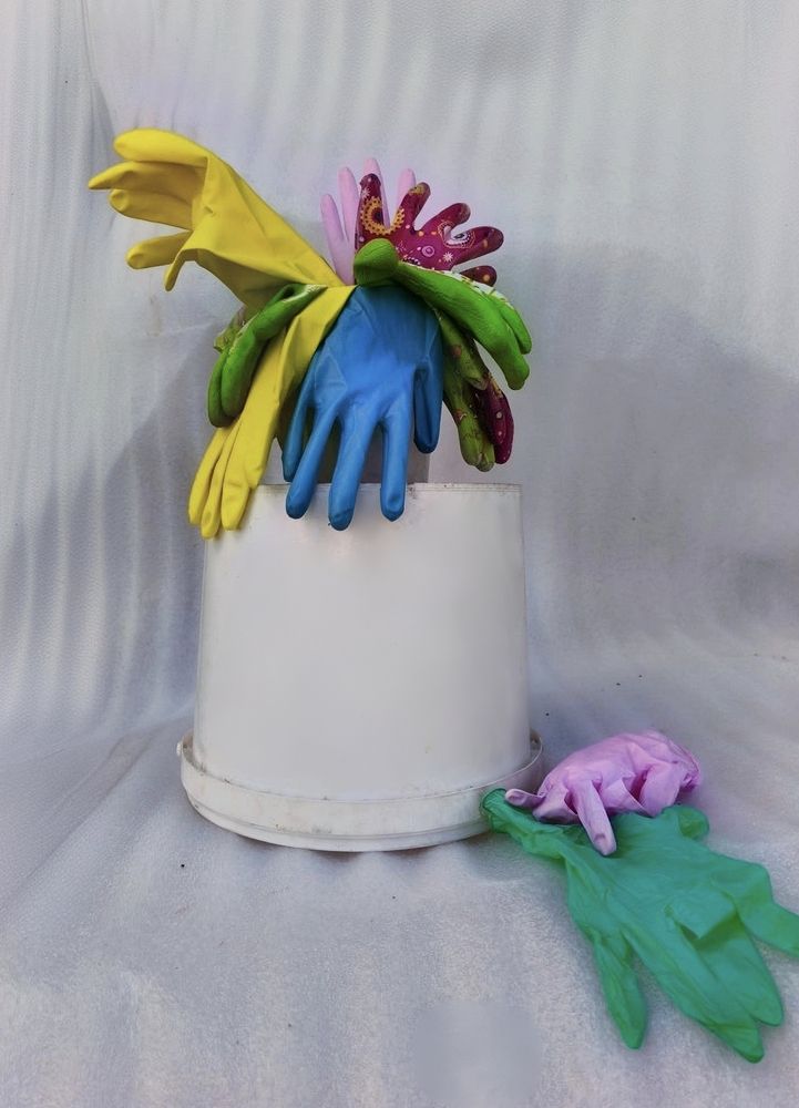 Фотография автора Татьяна Алексеева