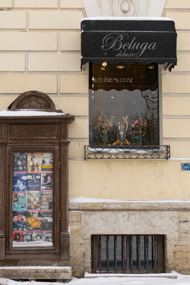 Фотография автора Алина Руденко