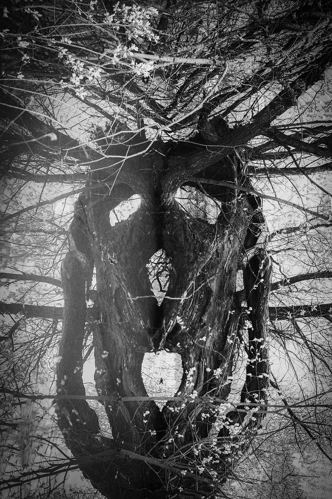 Photograph by Роман Гурененко