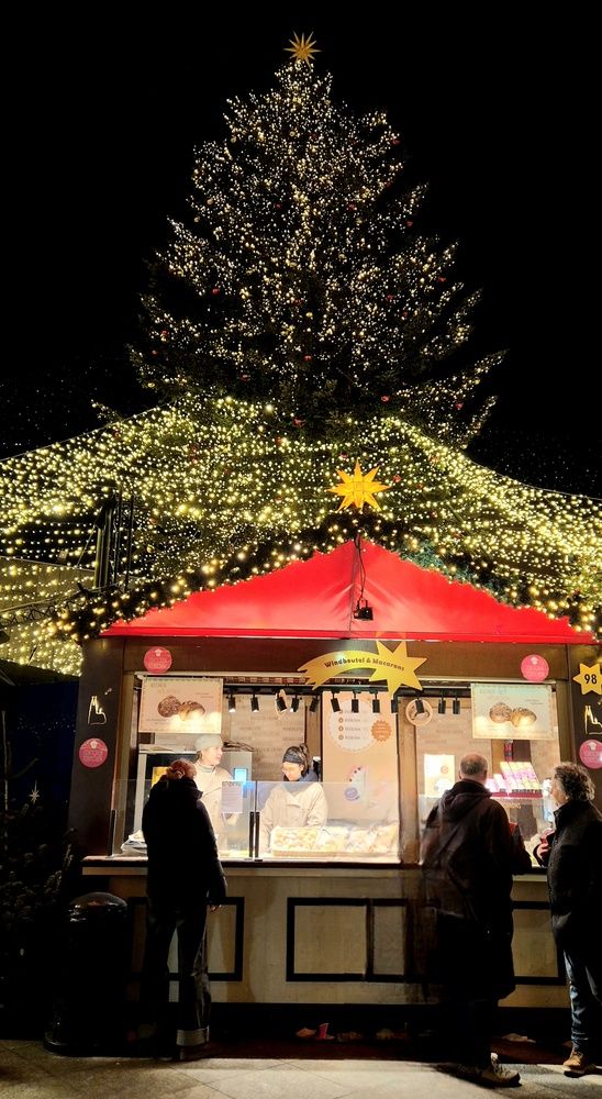 Фотография автора Juliana Pedevilla