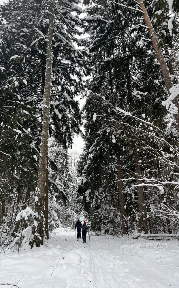 Photograph by Оксана Гуляева