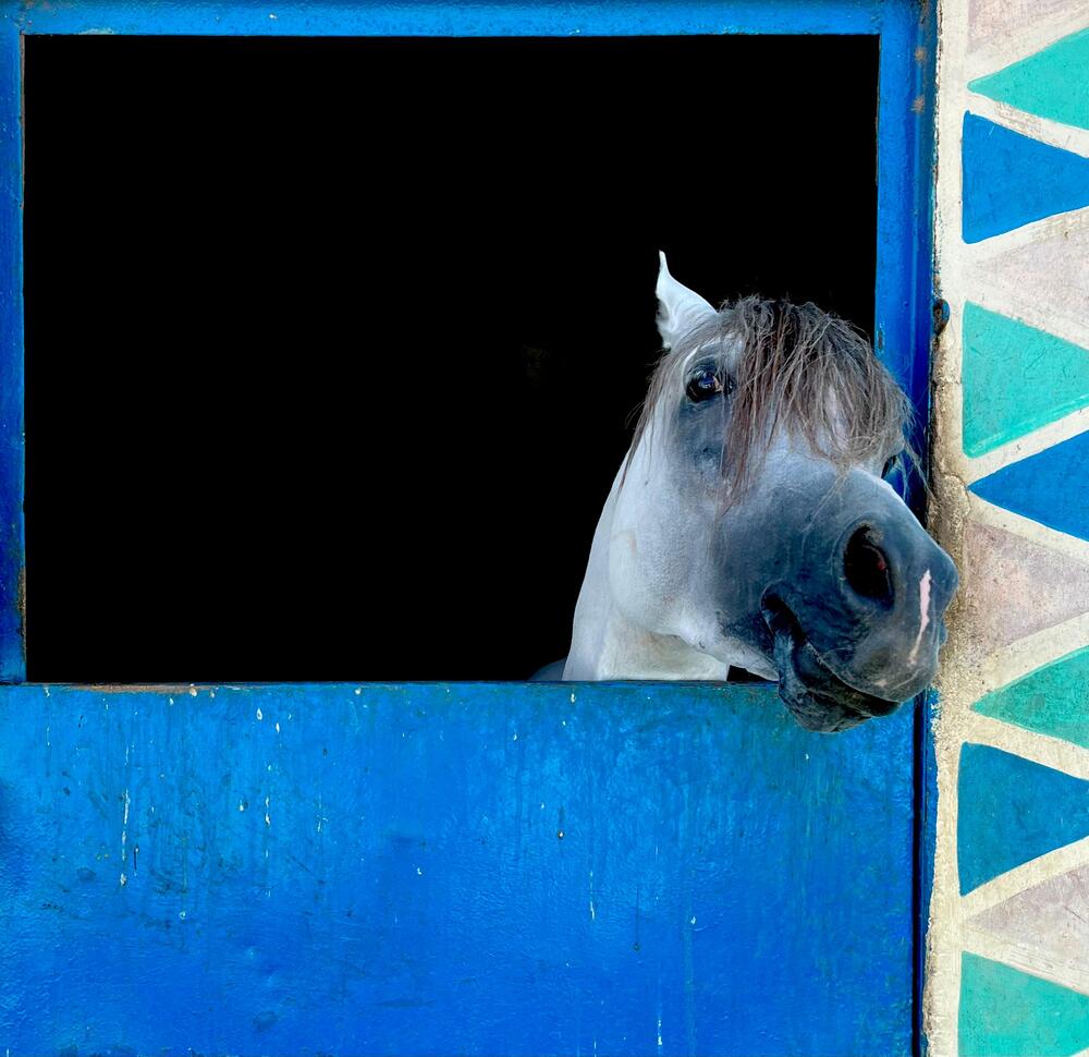 Photograph by Salah Elden