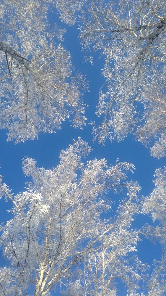 Photograph by Оксана Гуляева