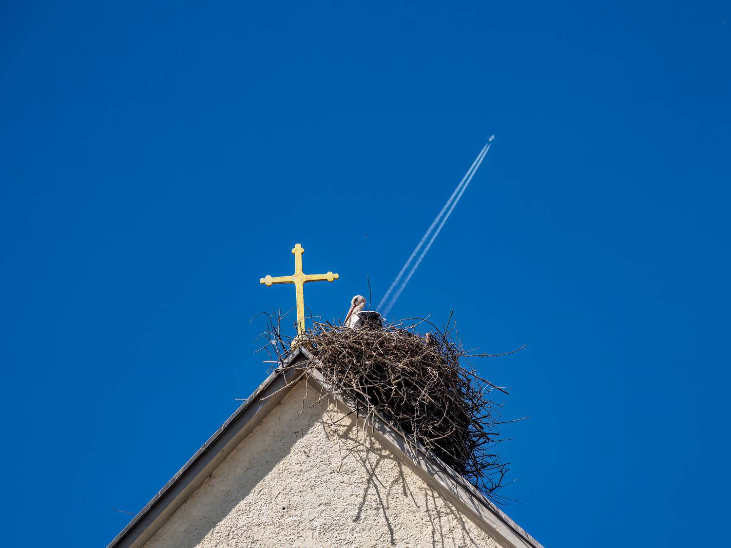 Photo #13071152