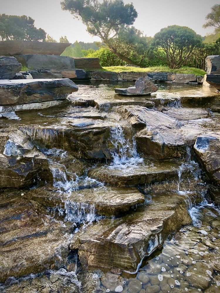 Японский сад в Истре