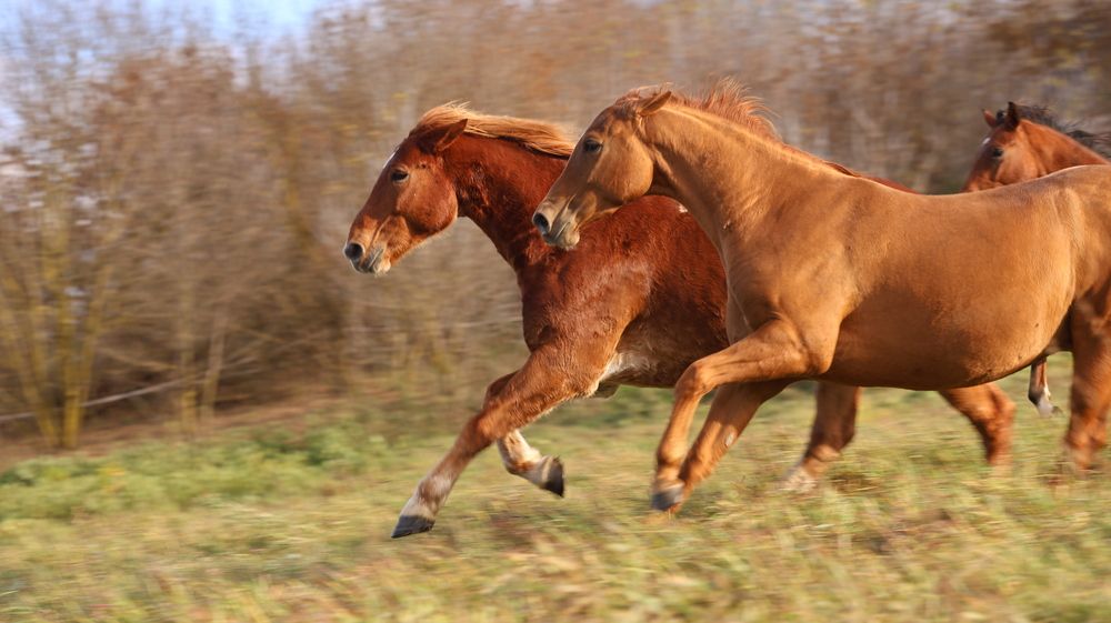 Photograph by Евгения Осипова