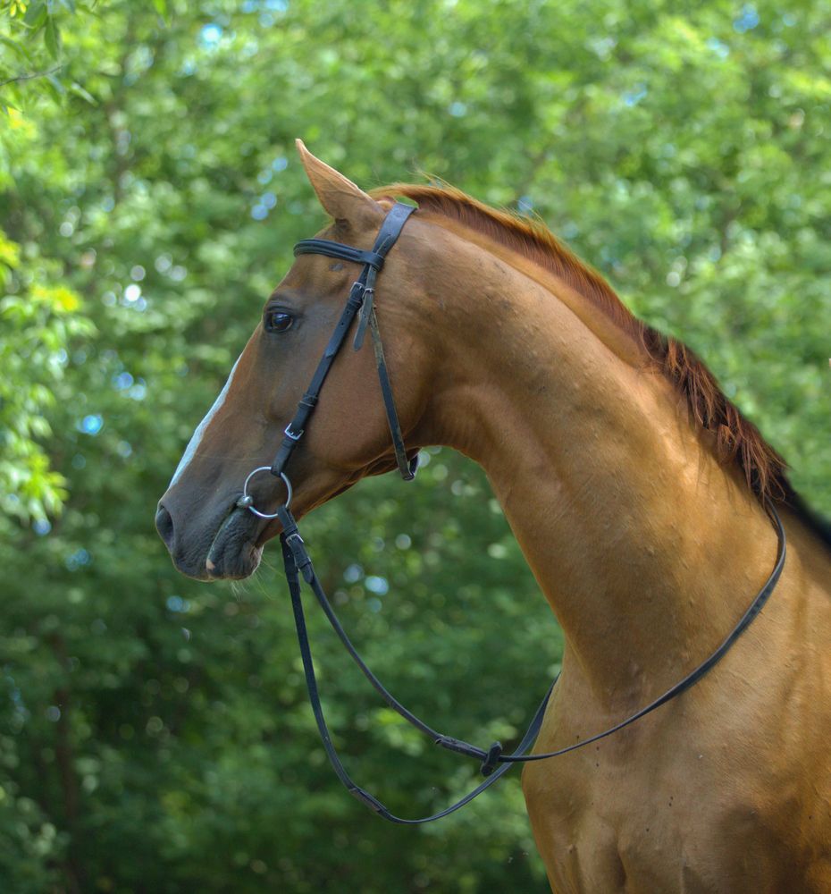 Photograph by Евгения Осипова