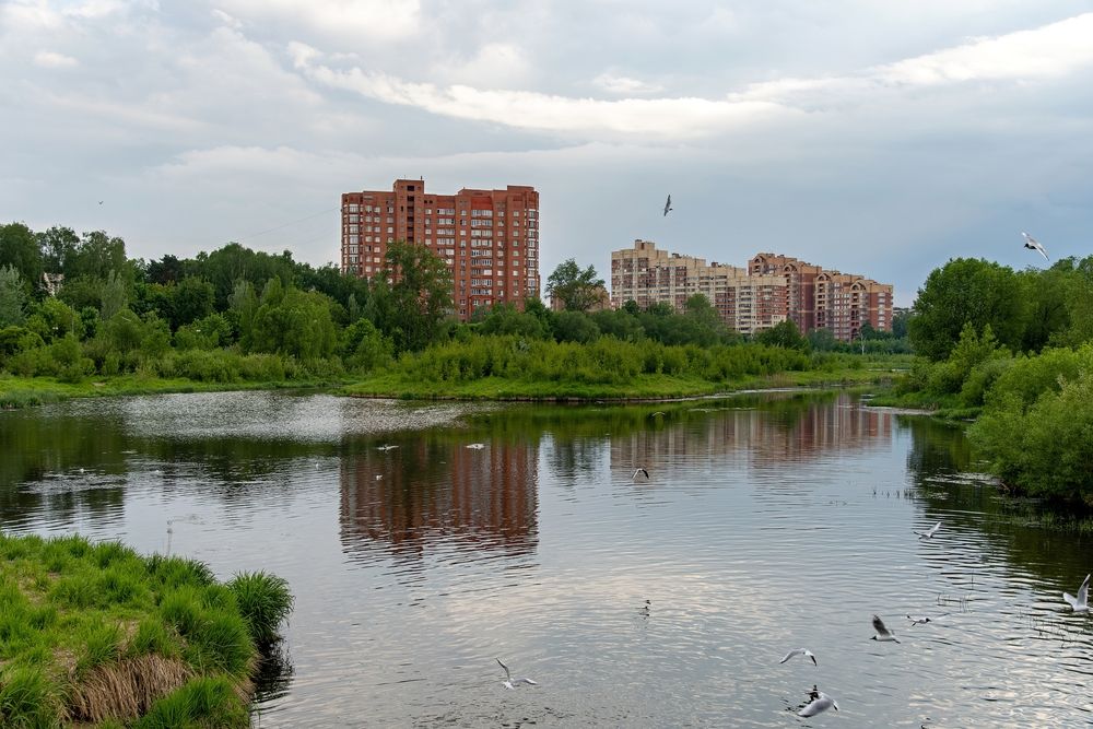 Photograph by Михаил Косолапов