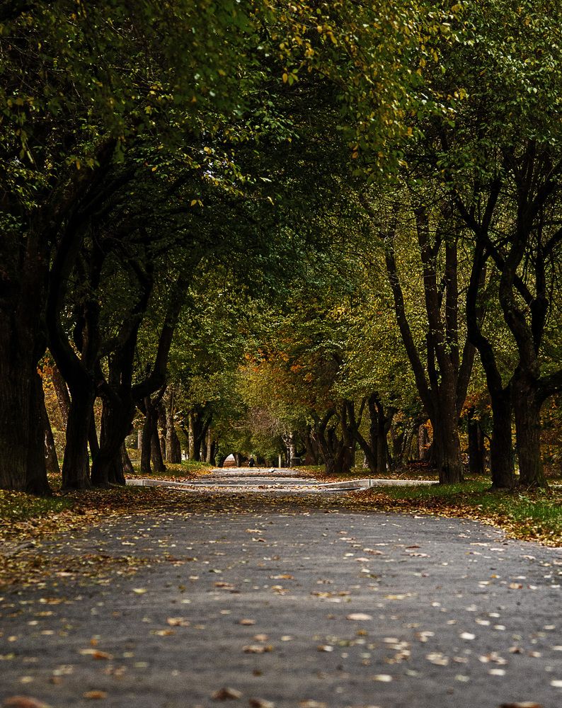 Photograph by Руслана