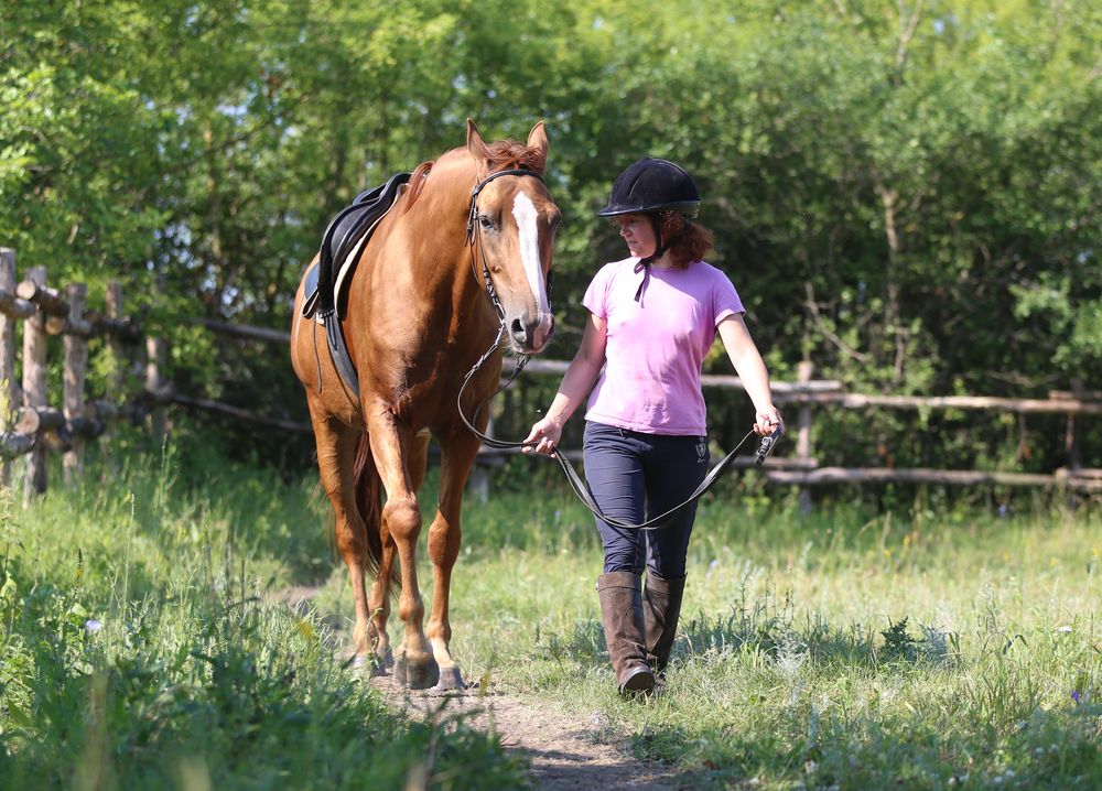 Photograph by Евгения Осипова