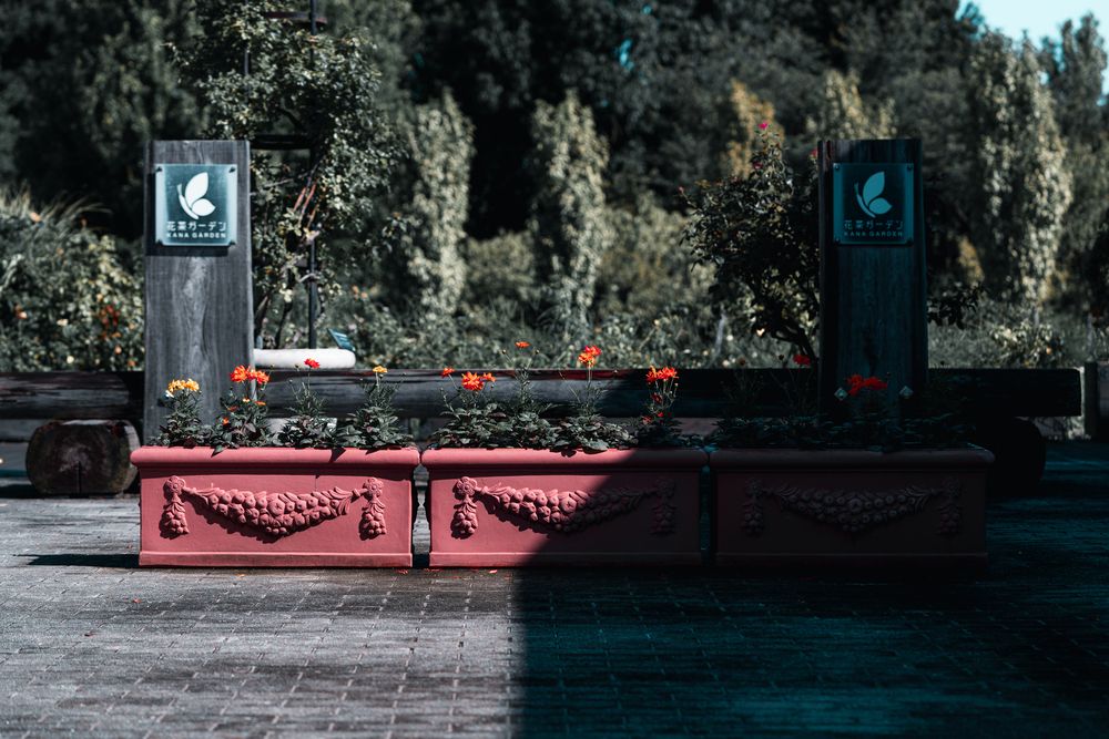 Photograph by Suzuki Ryuta