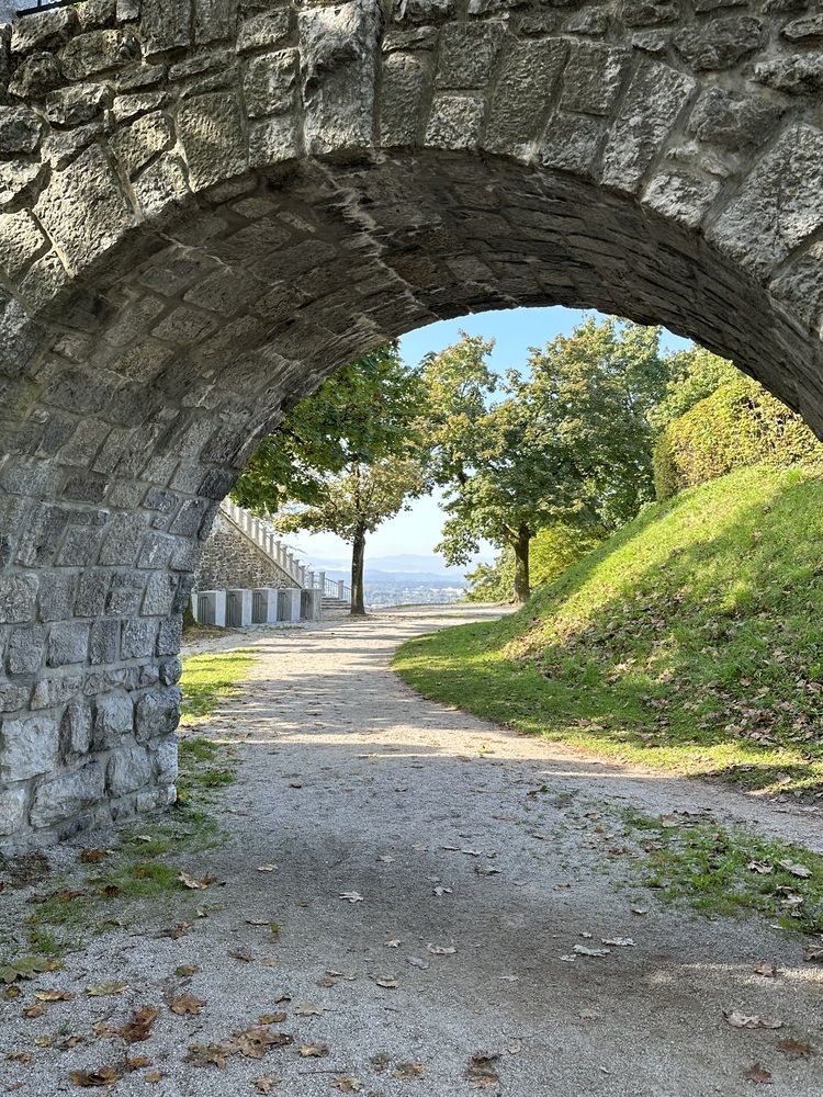 Photograph by Elena Pozdorovkina