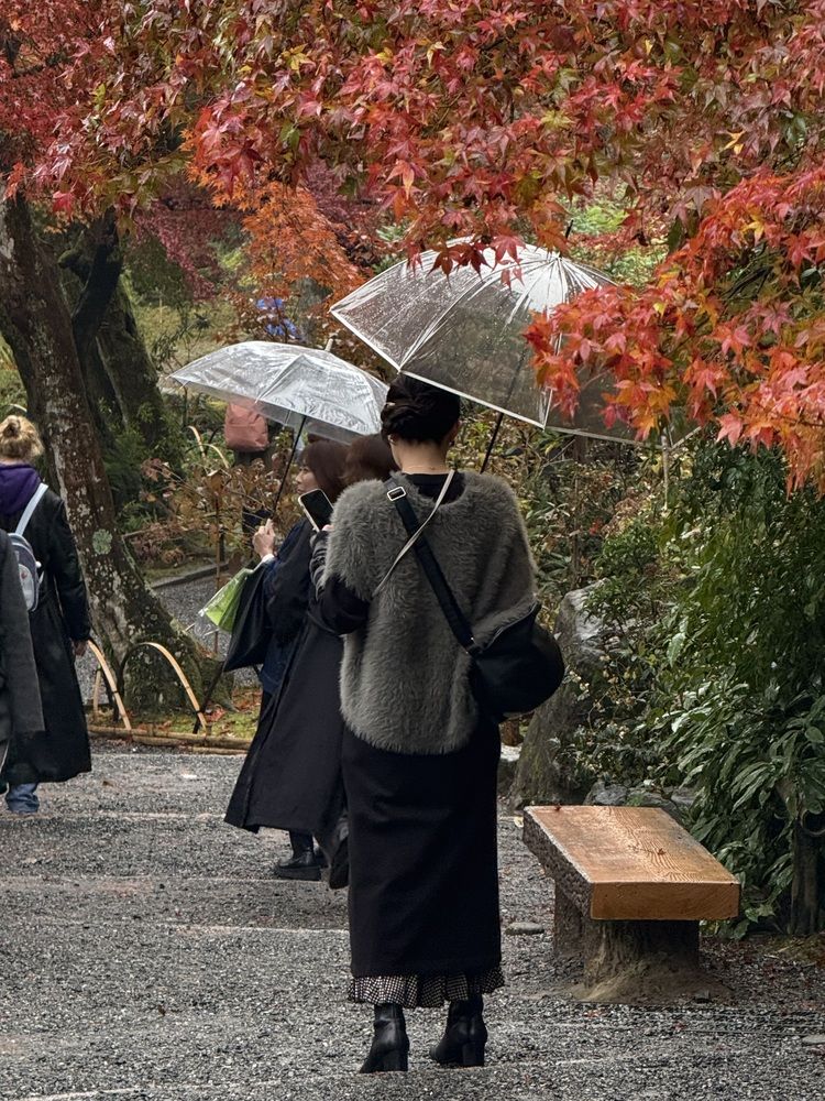 Фотография автора Алла Киселева