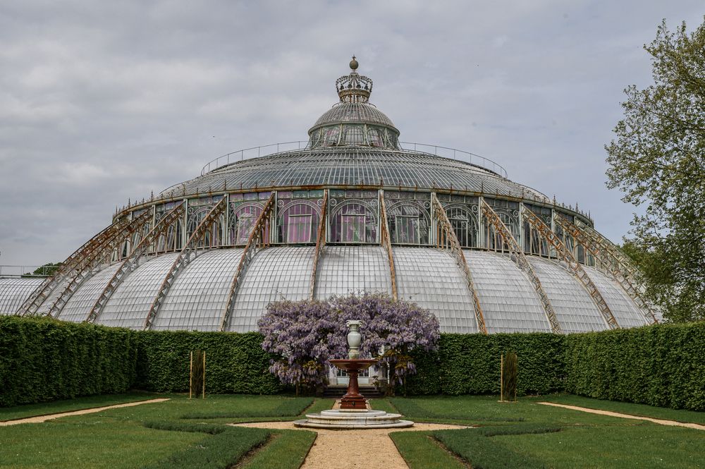 Фотография автора Вера Базилевская