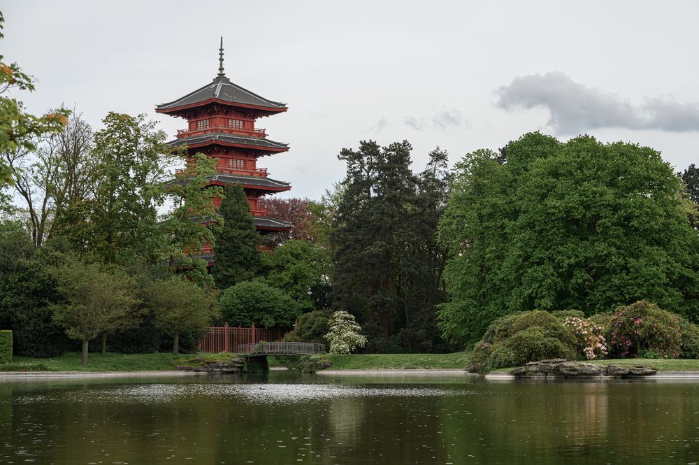 Фотография автора Вера Базилевская