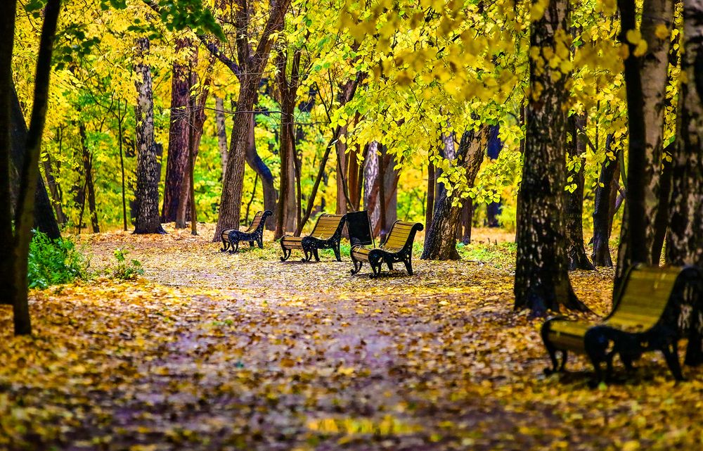 Photograph by  VictОr