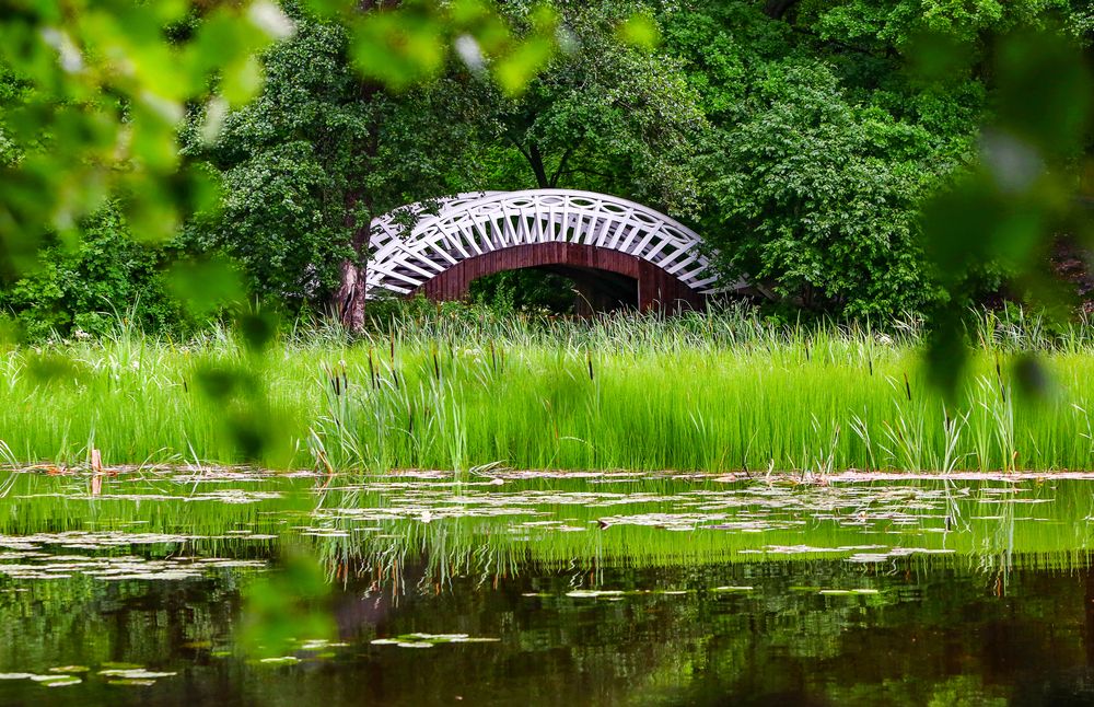 Photograph by  VictОr