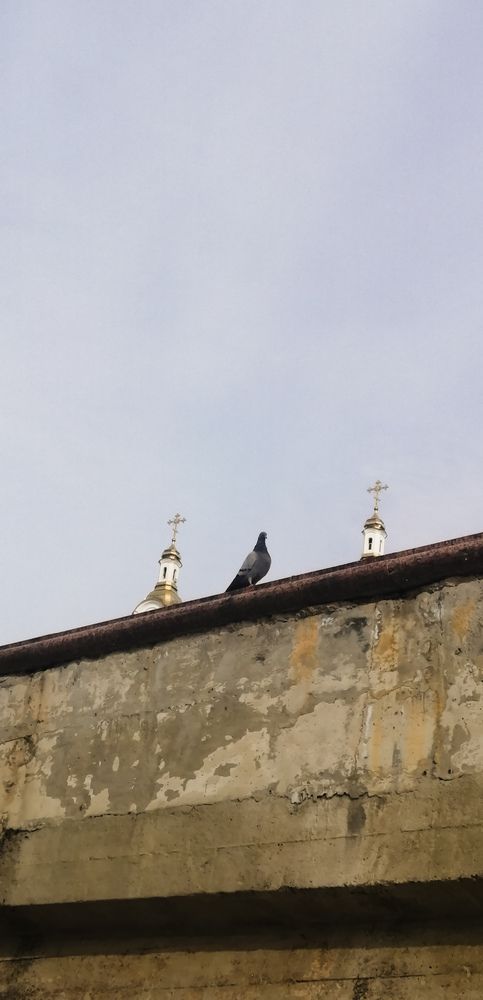 Photograph by Наталья Клячина