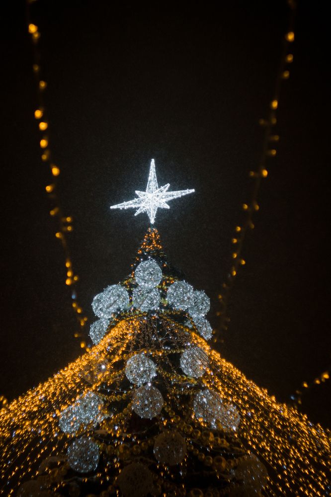 Photograph by Алексей Юдин